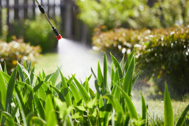 24/7 Emergency Mosquito Control experts in Harbison Canyon, CA