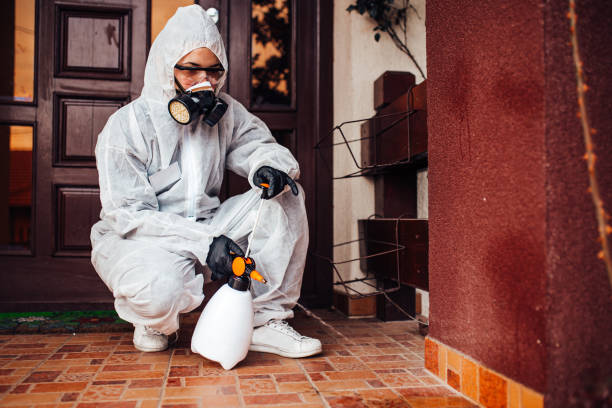 Reliable Mosquito Control contractor in Harbison Canyon, CA by Show Me Pest Control